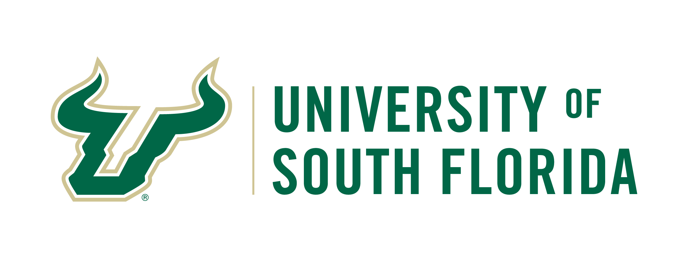 University of South Florida
