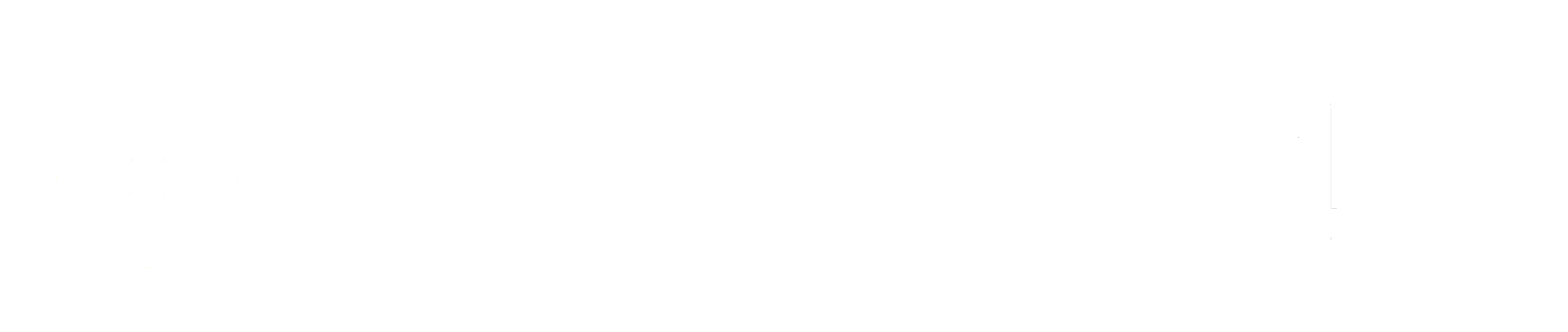 VIS 2024